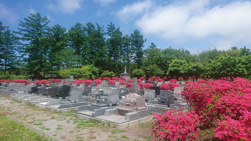 「西軽井沢向原霊園」は全区画、ツツジに囲まれて美しい。 首都圏からの顧客も多い